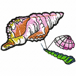 Seashell Embroidery Design 5